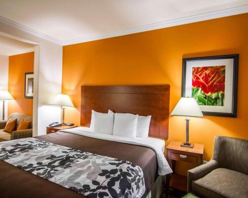 Hotel Sleep Inn & Suites I-20