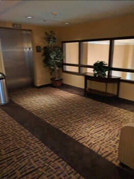 Hotel Sleep Inn & Suites Laurel