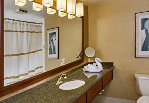 Hotel Bwi Airport Marriott