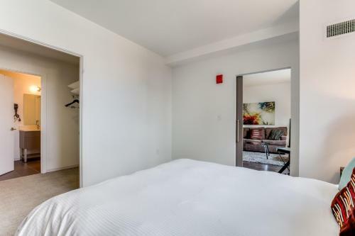 Luxury Apartments Near Mit, Harvard Square And Charles River