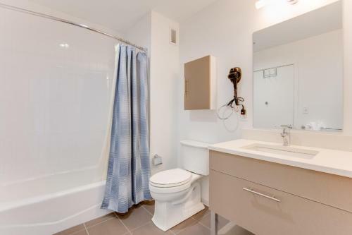Luxury Apartments Near Mit, Harvard Square And Charles River