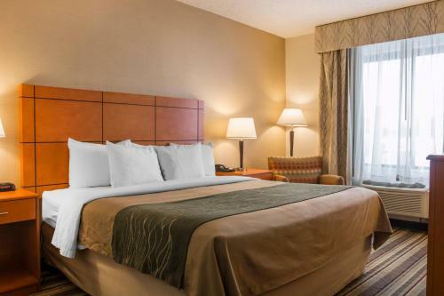 Hotel Comfort Inn Metro Airport Romulus