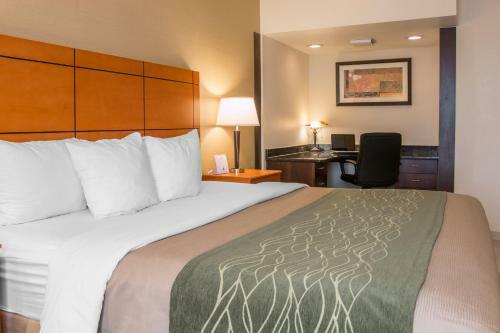 Hotel Comfort Inn Metro Airport Romulus