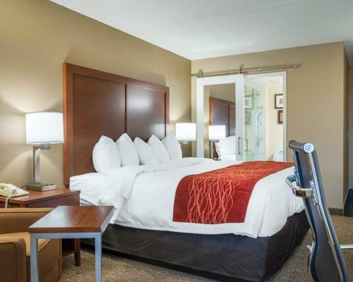 Hotel Comfort Inn Eden Prairie - Minneapolis