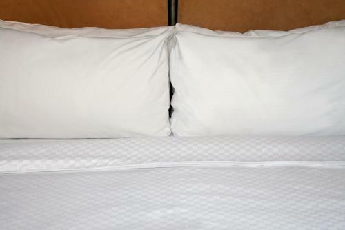 Hotel Ivy, A Luxury Collection Hotel, Minneapolis