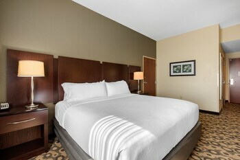 Hotel Holiday Inn Southaven Central - Memphis