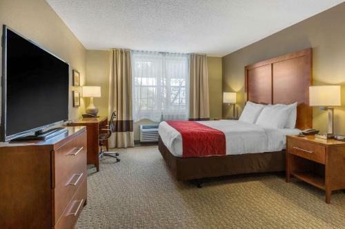 Hotel Comfort Inn & Suites North Conway