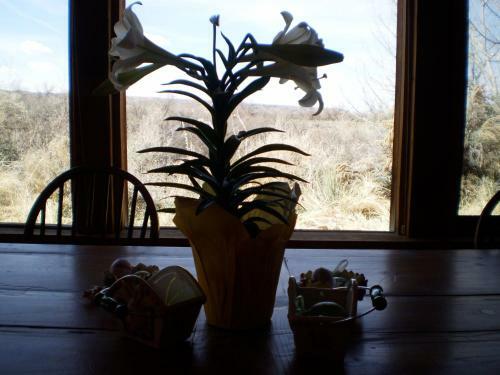 Silver River Adobe Inn Bed And Breakfast