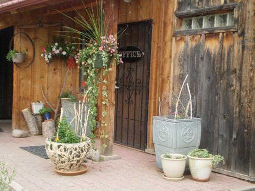 Silver River Adobe Inn Bed And Breakfast