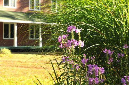 Bass Manor Bed And Breakfast & Art Museum