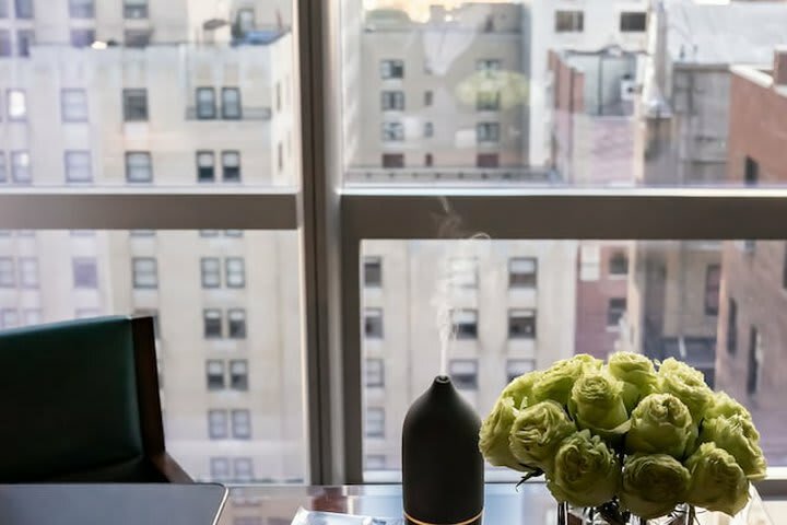 Hotel Park Hyatt New York