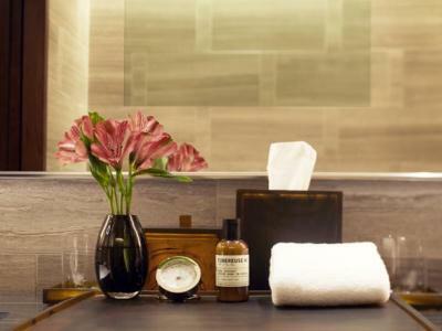Hotel Park Hyatt New York