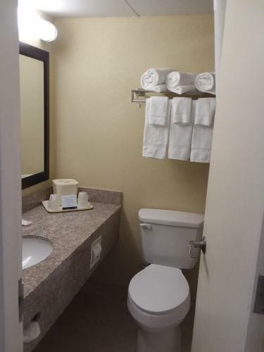 Hotel Quality Inn & Suites Vestal