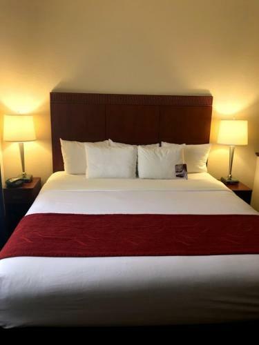 Hotel Comfort Suites - Asheville