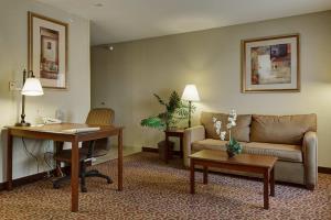 Hotel Hampton Inn & Suites Fremont