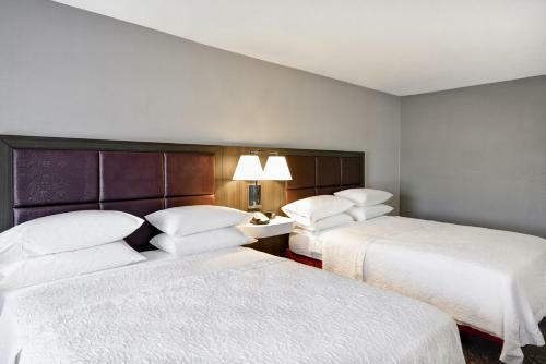 Hotel Hampton Inn & Suites Columbus-easton Area