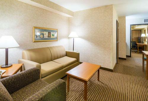 Hotel Comfort Inn I-90 Rapid City