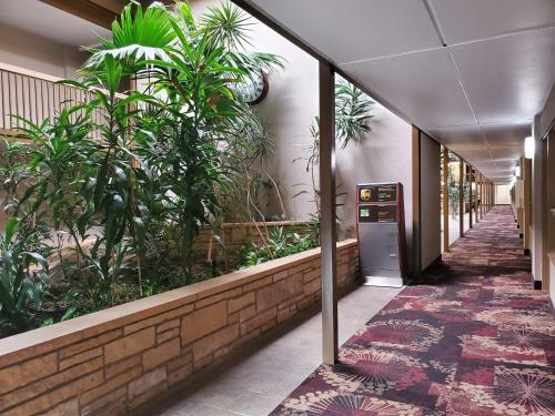 Best Western Ramkota Hotel Watertown
