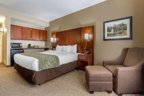 Hotel Comfort Suites Johnson City