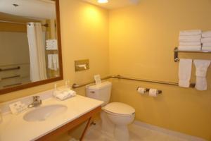 Holiday Inn Express Hotel & Suites Pigeon Forge