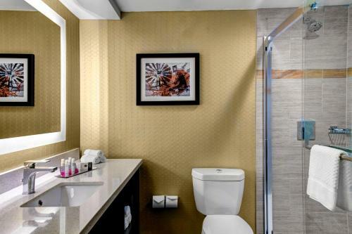 Hotel Doubletree By Hilton Arlington Dfw South
