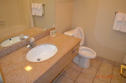Hotel Quality Inn And Suites At Reliant Park