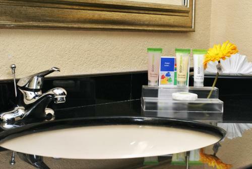 Atrium Hotel And Suites Dfw Airport