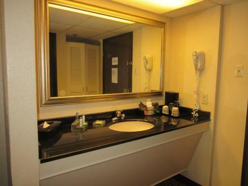 Atrium Hotel And Suites Dfw Airport