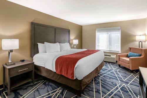 Hotel Quality Inn & Suites Lubbock