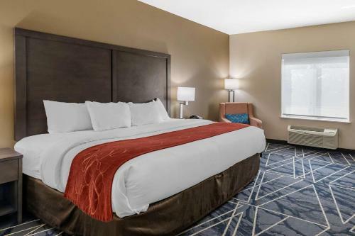 Hotel Quality Inn & Suites Lubbock