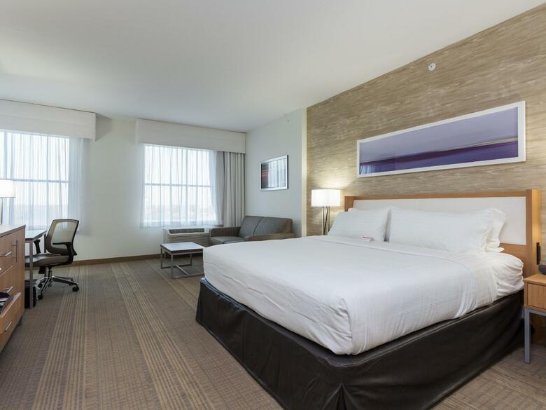 Hotel Holiday Inn San Marcos