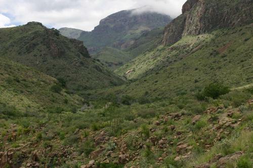 Hotel Cibolo Creek Ranch