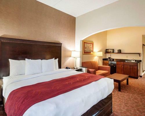 Hotel Comfort Suites Dulles Airport