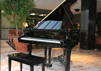 Pullman Plaza Hotel