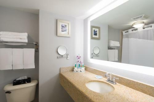 Holiday Inn Express Hotel & Suites Easton