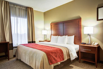 Hotel Comfort Inn Blythewood