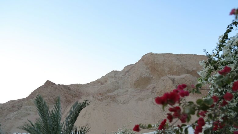 Bedouin Moon Hotel