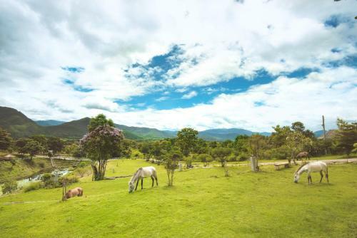 Hotel E-outfitting Pai Resort