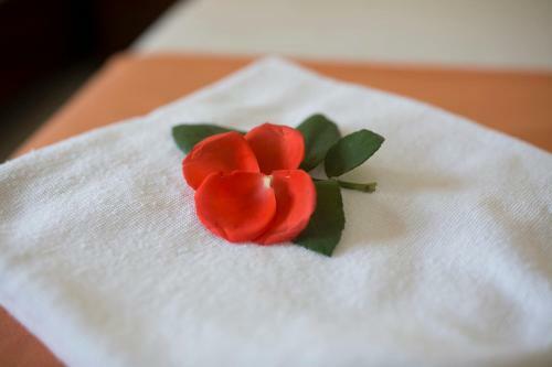 Anh Duong 2 Hotel