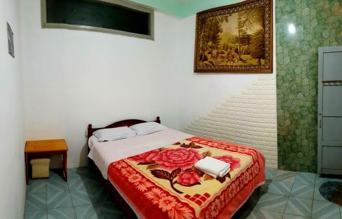 Albergue Tiny Tigers