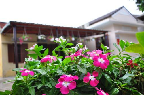 Petunia Garden Homestay And Hostel