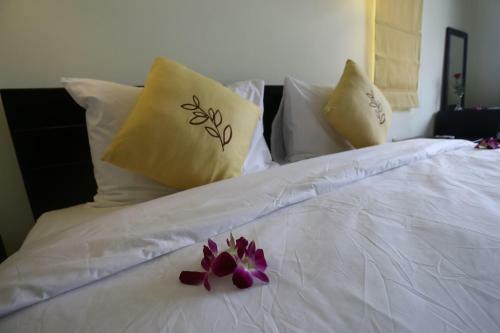 Hotel Lazy Bear Hostel