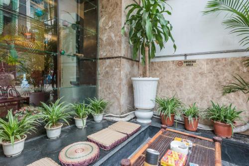 Hasu Hotel