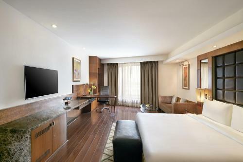 Hotel Radisson Blu Plaza Delhi