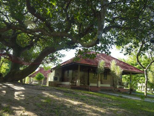 Hotel Isola Di Cocco Ayurvedic Beach Resort