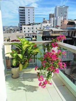 Hostal Thien Truc Guest House