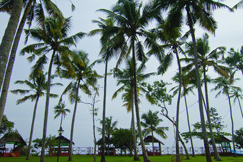 Hotel Blooming Bay - Clifftop Beach Resort