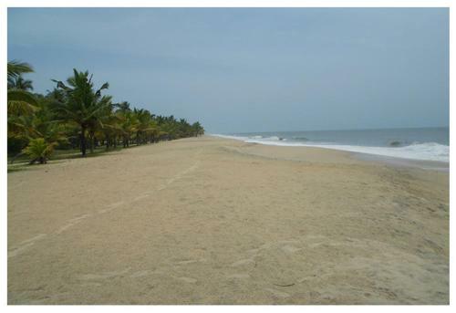 Marari Beach Paradise