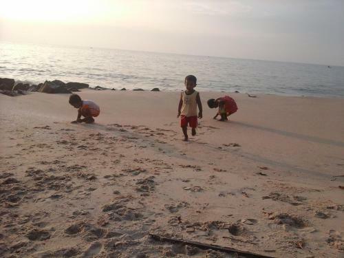 Marari Sea Scape Villa