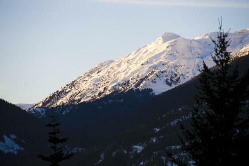 Apartamentos The Benchlands By Blackcomb Peaks Accommodation